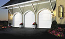 Classic Collection Door with Long Panel Design and Arches 